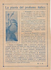 L081-APPLICAZIONI TERAPEUTICHE DEL BERGAMOTTO-ESSENZE E AROMI-DEPLIANT PUB.