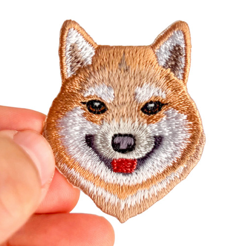 Shiba inu cane akita - akita, toppa