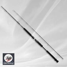 Asta da baitcasting Shimano 21