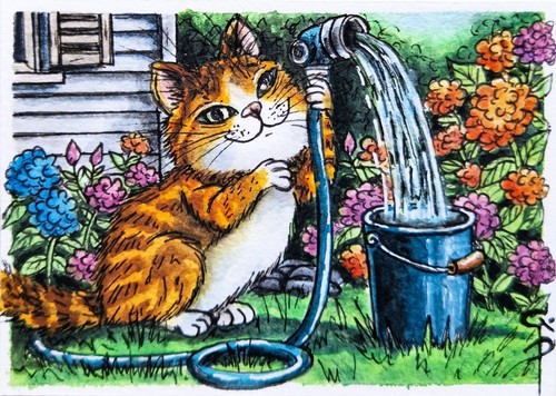 Aceo cat painting gardener - aceo,