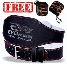 EVO 6" 4" Cinture Palestra