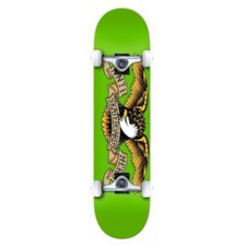 Skateboard Completo Pro Anti Hero Team Eagle Large 8.0'' - Skate Professional