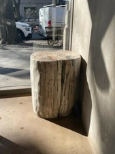 Tronchi in Legno Fossile, Design unico 