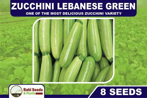 Zucchine libanese green una - zucchine,