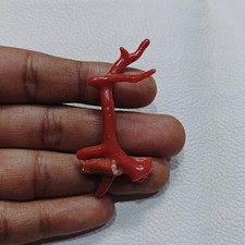 Ramo di corallo rosso