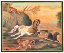 Fauna Selvatica Art Dipinto Di