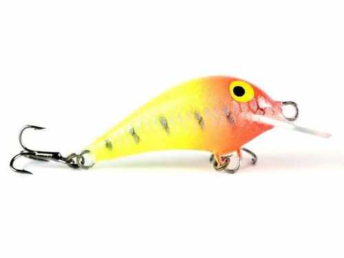 Siek guppy gupik - guppy, 3