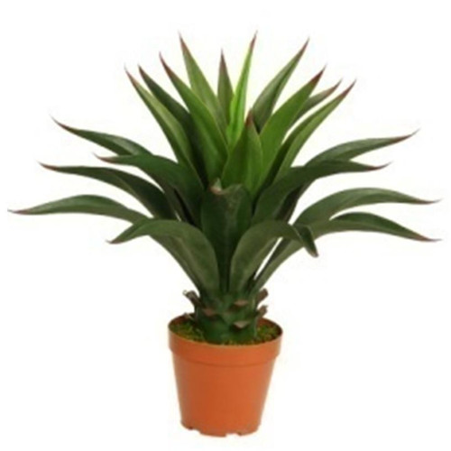 Pianta yucca artificiale - pianta,