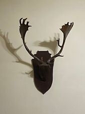 rare corna d'alce vere trofeo di caccia imbalsamate e conservate in ottimo stato