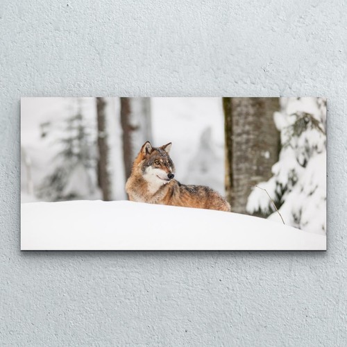 Decorazione casa foto quadro