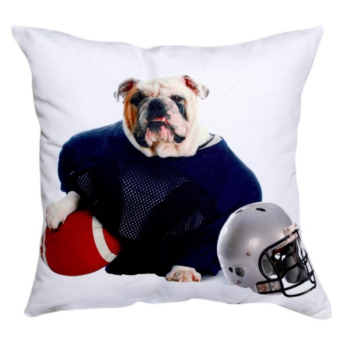 Splendido cane calcio - cane, abito