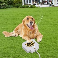 Fontana per cani e cani
