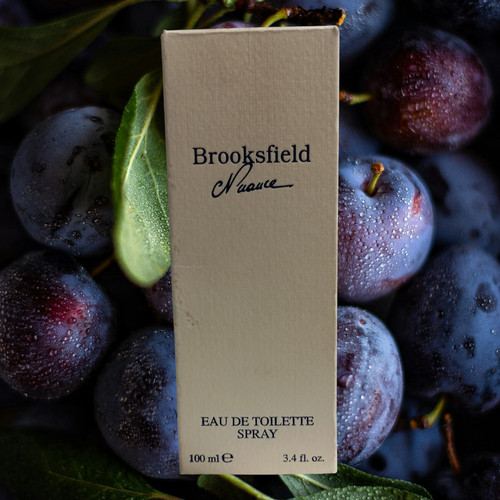 Brooksfield nuance 100ml eau - nuance,