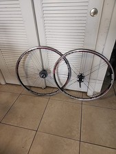 NOS CAMPAGNOLO VENTO con