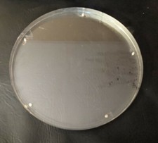 Acqua Video Subacqueo Custodia per Videocamera Marine Anteriore Plastica 11