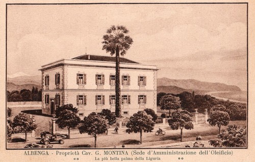 Albenga oleificio montina - albenga,