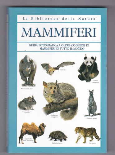 Libro biblioteca della - libro, la