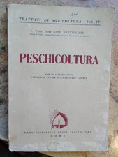 INTROVABILE  LIBRO  DEL  1950