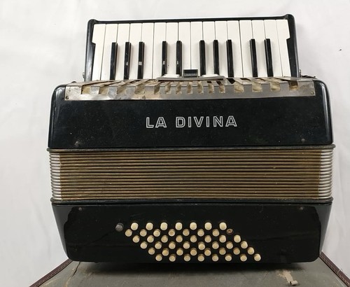 Divina - , hohner