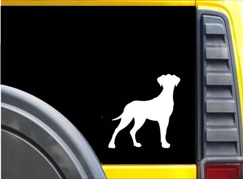 Adesivo great dane k613 - adesivo,