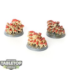 Tyraniden - Sciame di 3