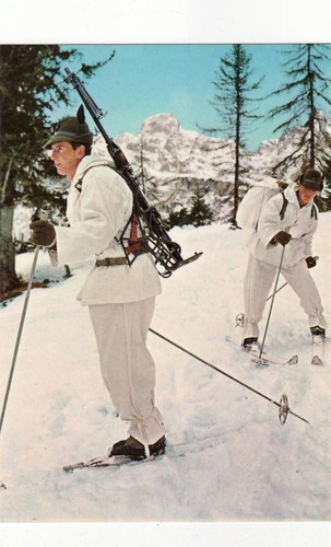 A256 alpini sciatori in - sciatori,