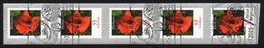 2477 fiore 5 strisce - 2477,