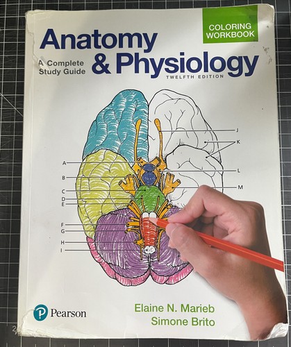 Anatomy and physiology - anatomy,