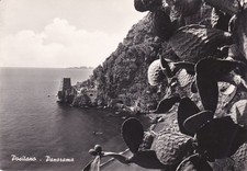 POSITANO  ( Salerno ) -