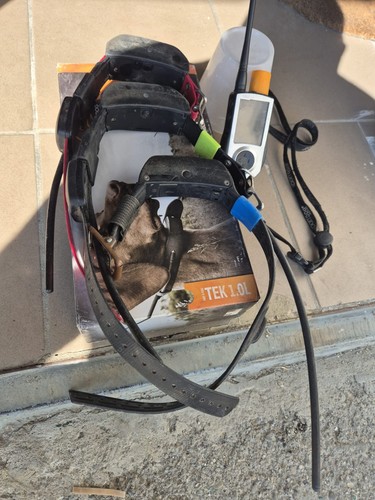 Collare satellitare per - per, cani