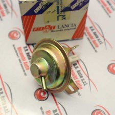 CORRETTORE SPINTEROGENO PANDA