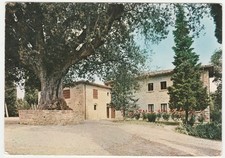 MONTAUTO DI ANGHIARI - AREZZO