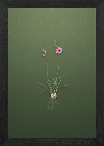 Quadro stampa tela poster - su,