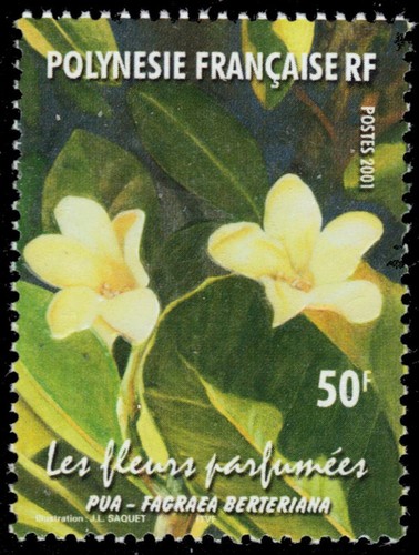 Polinesia francese 813 - polinesia,