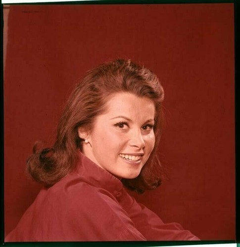 Stefanie powers vivid - vivid, color