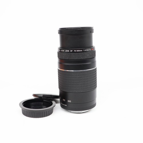 Canon 300mm 5 - 75-300mm, f/4-5.6