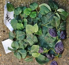 IKEA FEJKA Pianta Artificiale