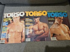 Torso - Torso's Stallion Lot
