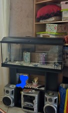 acquario con mobile nero