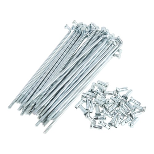 Set raggi bici - bici, 12g