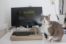 COMMODORE 64 C64 BISCOTTONE