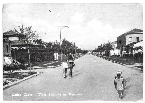 Forli cesena gatteo - (710),