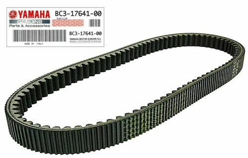 Cinghia variatore originale - variatore,
