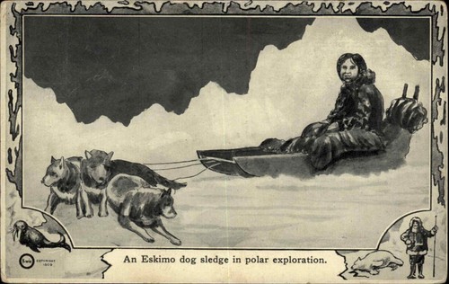 Esplorazione polare cane - esplorazione,