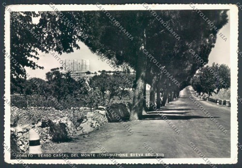 Bari corato pieghina foto - bari,