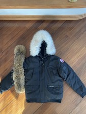 Canada goose - canada,