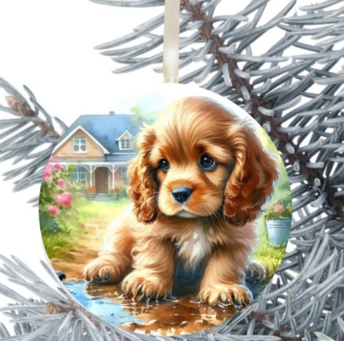 Cocker spaniel cucciolo - cocker, cane
