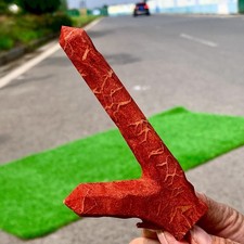 55GNatural Red Soft coral and