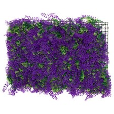  Frangivista Da Esterno