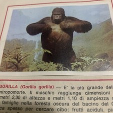 FIGURINA N. 39 ANIMALI ED